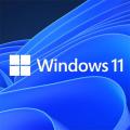 Microsoft Windows 11 Pro, Lizenz / Produktkey